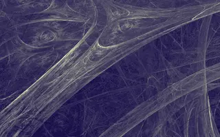 Investor Relations Automation Agent